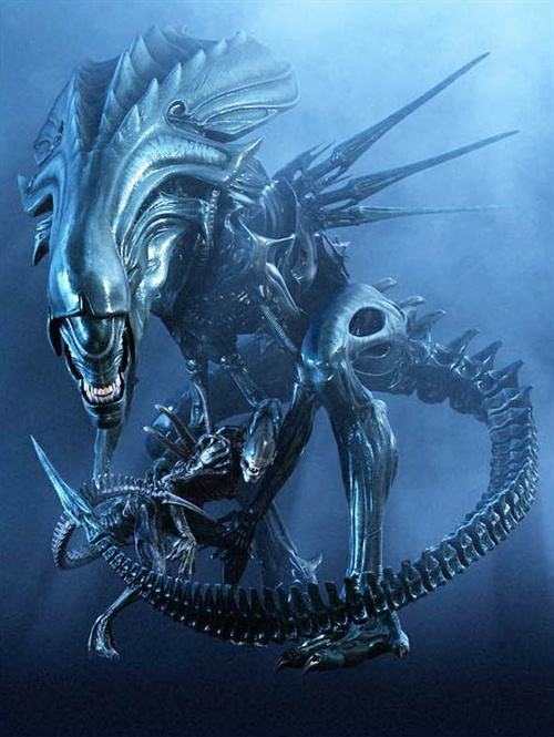 异形契约深度剖析,异形契约深度解析图