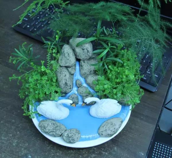 可以用驱蚊剂喷花吗,灭蚊喷雾剂可以喷花草吗