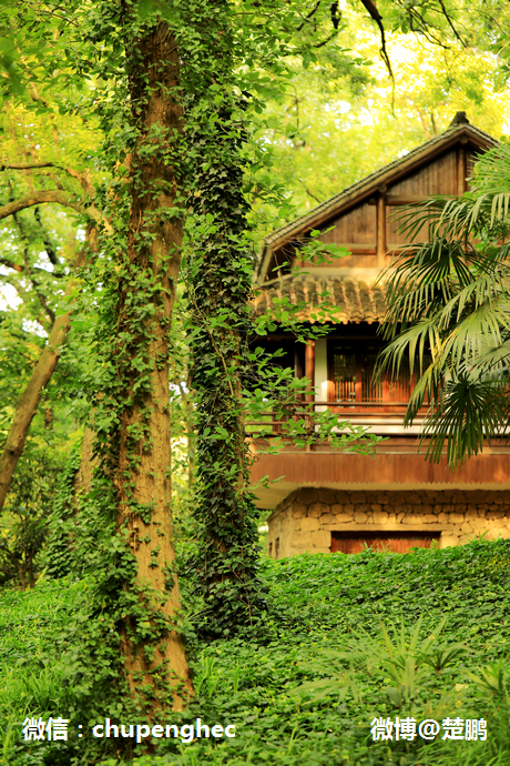 曾是马云江南会,只有9间房,中国最牛的野奢度假村什么样