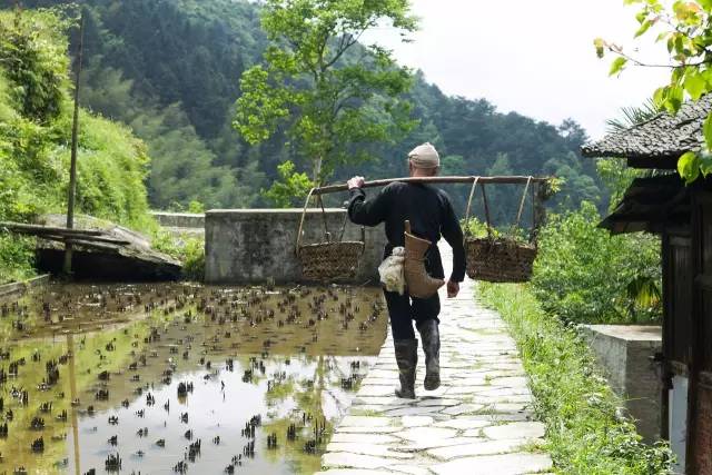 贵州黔东南自由自在的生活,在黎平想做兼职有哪些