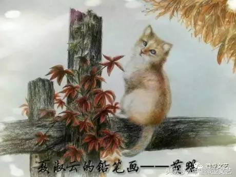 王子红尘品读美静杯诗歌