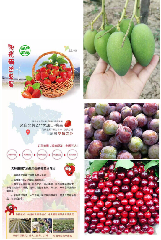 邛海比赛,凉山州2023年青少年足球联赛