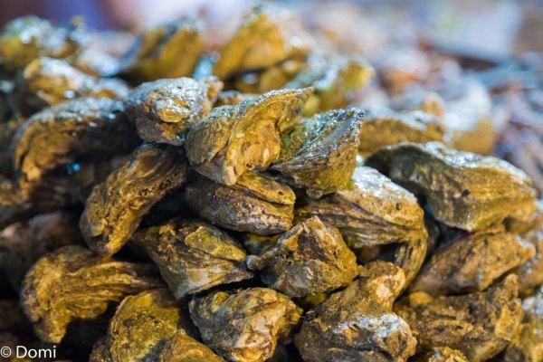 一顿海鲜大餐都有什么,海鲜大餐又便宜又营养又好吃