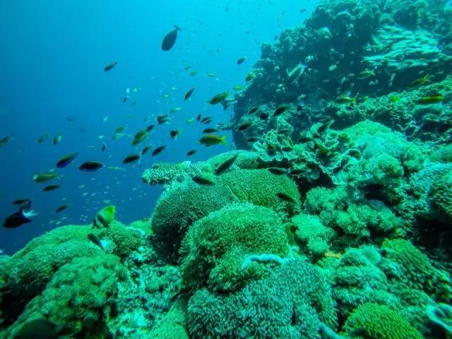 喜大普奔完整版视频,喜大普奔完整视频