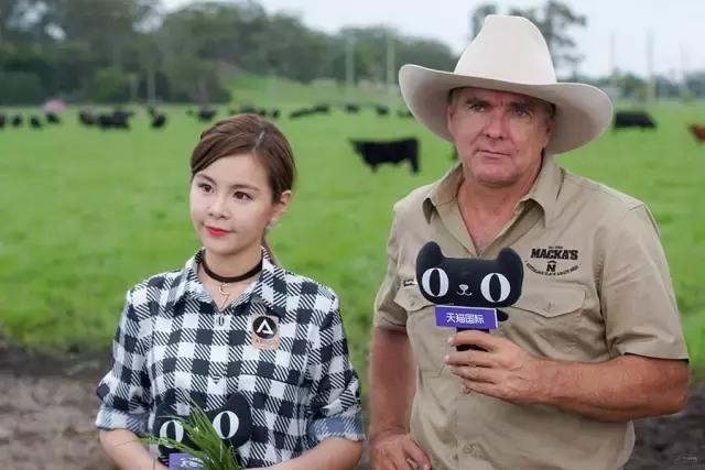 金字塔顶端“剁手*党**”：好的产品找到了对的人