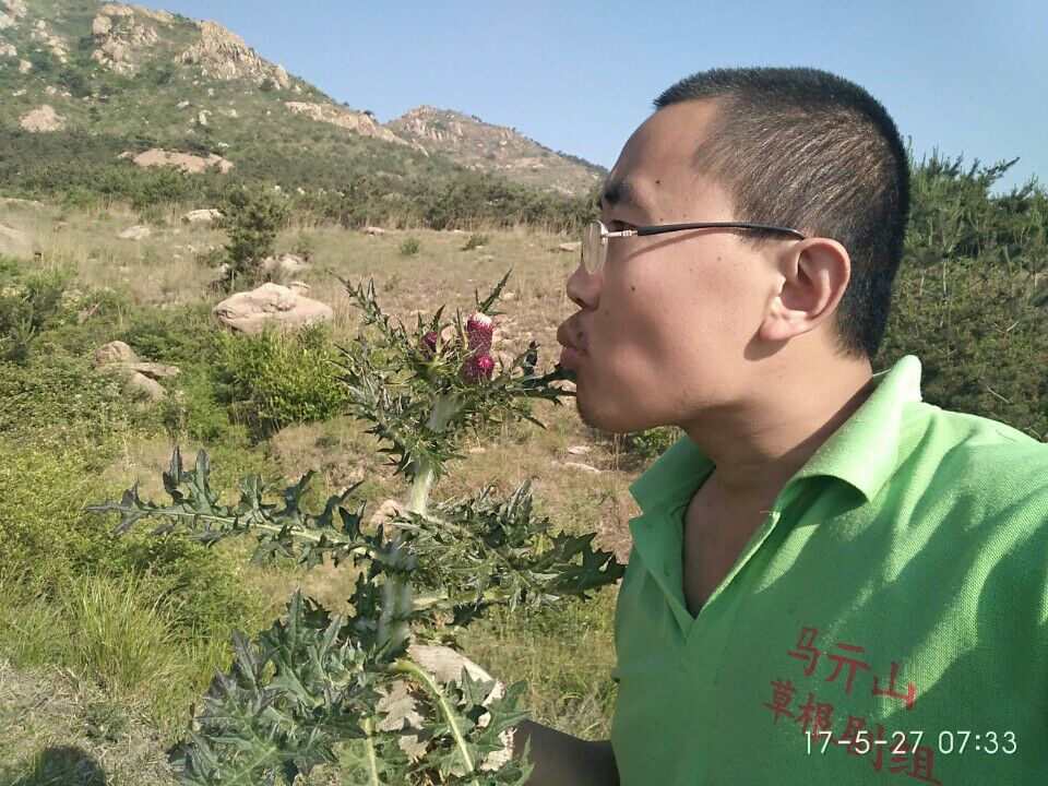 农村山里有什么特产,不起眼的农村土特产是什么