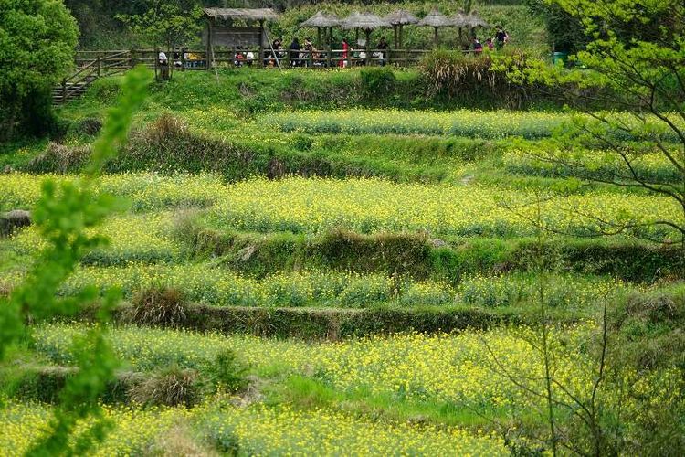象山县石浦镇是城镇吗,象山石浦镇古城地图