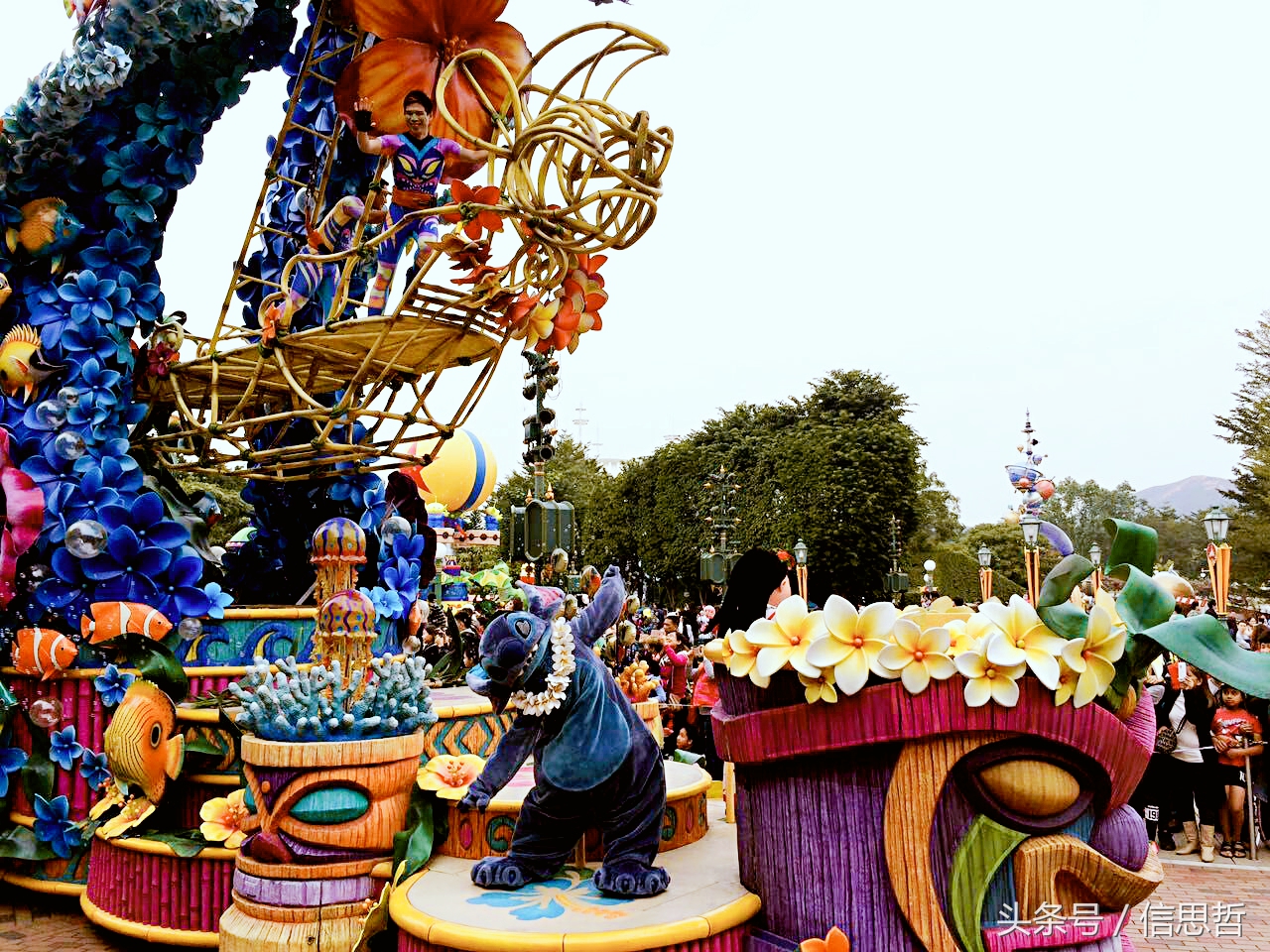 去香港旅游应该去哪玩,去香港旅游攻略最新消息