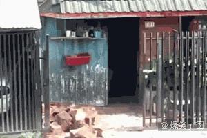 姑娘,我要是追上你就得履行承诺哦,可不要反悔哦