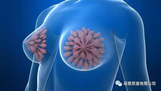 女性吃酵素30天效果,酵素让身体更健康