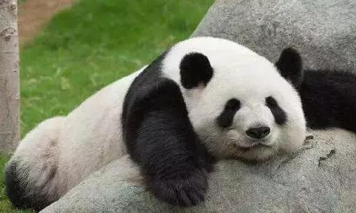 某宝官方旗舰店女装,十大必买女装店铺