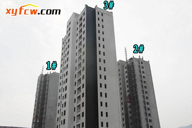 金园世界城二期工程,世界城二期开盘多少钱