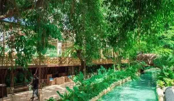 夏一站—深夜的啤酒比清晨的白粥好喝!尤其是虎牌的!