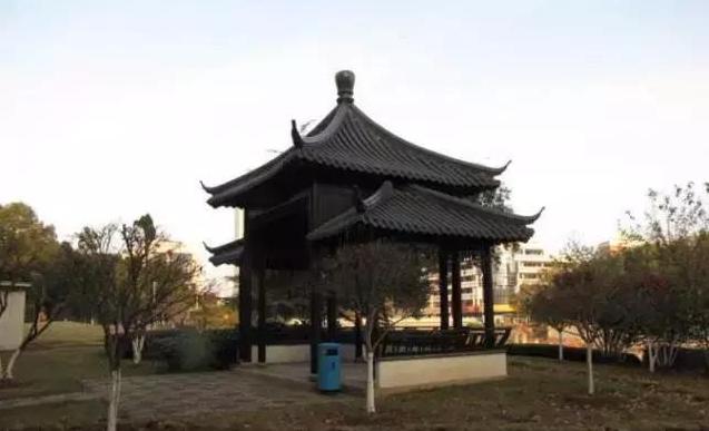 在张家港生活是什么体验,在张家港的生活