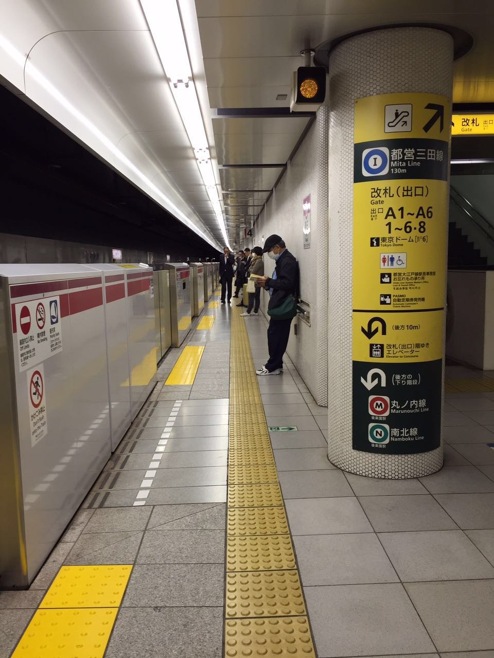 日本物语落樱下的邂逅,浪漫的日本物语