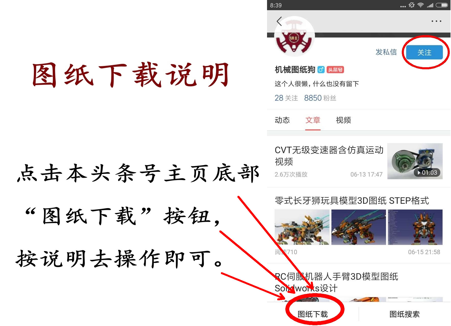 欢度春节图片唯美,欢庆过年图片大全