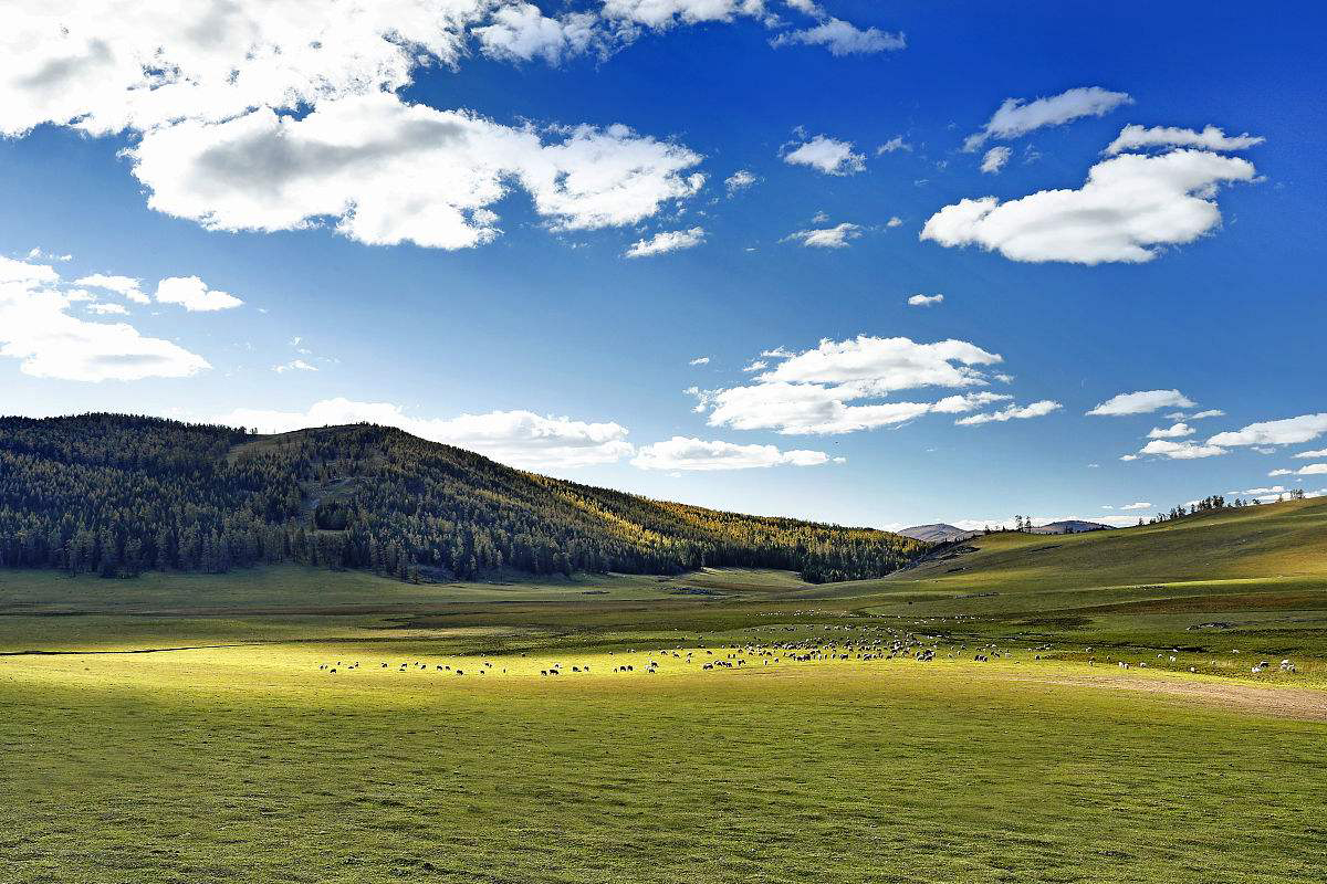 畅游塞外江南｜伊犁最详细最实用的旅行指南（1）