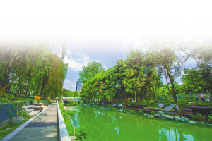 四川成都治水最新政策,四川省成都市水污染治理指导思想