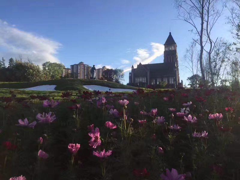 蔡家大桥开通,蔡家今年通车的大桥