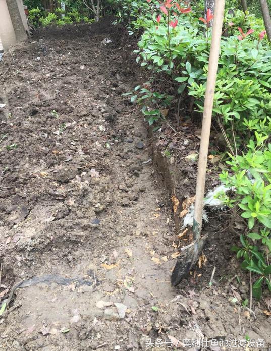 简单实用小庭院鱼池,庭院鱼池改造设计图片