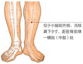 穴位养生:中医告诉你缓解慢性腹泻有奇招
