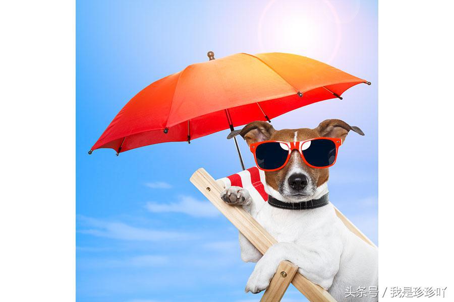 真正有防晒效果的防晒霜如何选择,防晒最有效的防晒霜