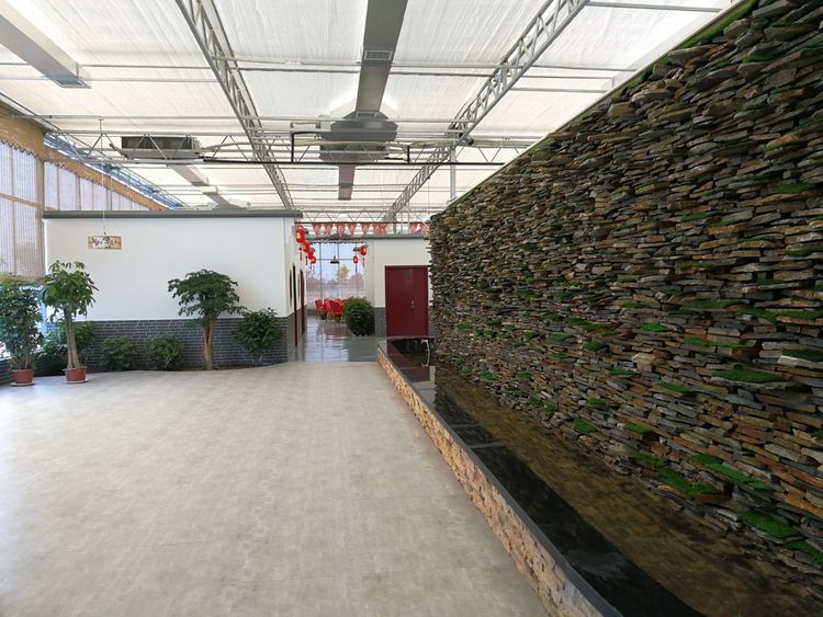 暑假桃源一日游,荥阳高村沐恩生态园