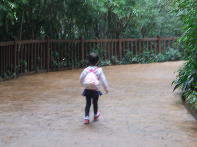 广州香港迪士尼一日游报团,长隆好玩还是迪士尼好玩