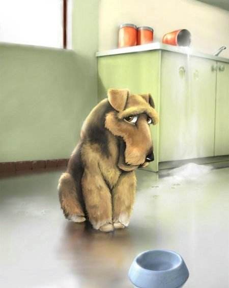 狗行为训错了怎么纠正,狗狗的行为纠正20期