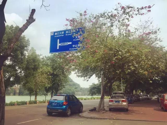 柳州,一座经常被电驴超车的城市!看完一把辛酸泪