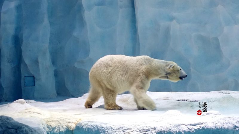 长隆亲子两大两小旅游攻略,珠海长隆横琴湾酒店亲子攻略