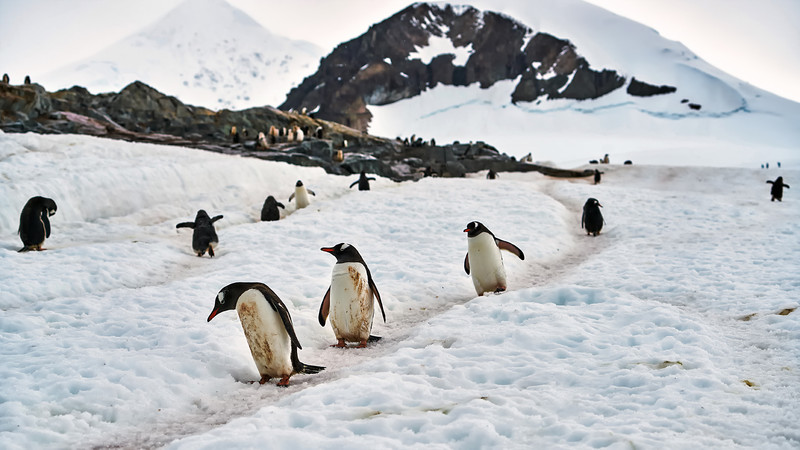 毕业旅行最值得去的,适合毕业旅行的10个目的地