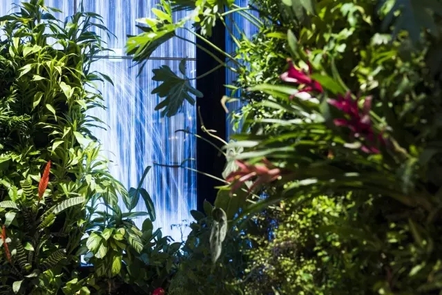 休假都不想去上班了,没有假期的工作好累想出去走走