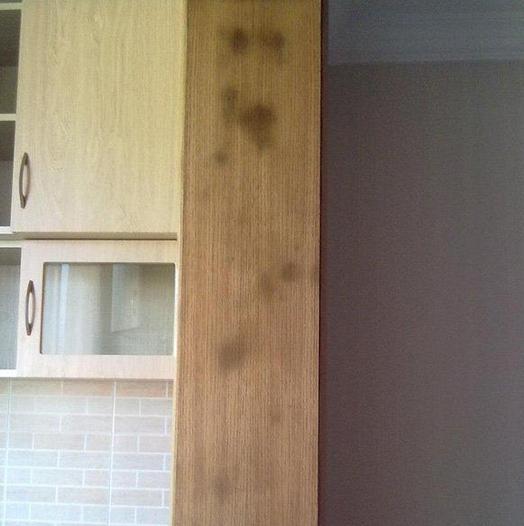 新的门套制作过来就发霉了怎么办,房间的门套发霉了怎么处理