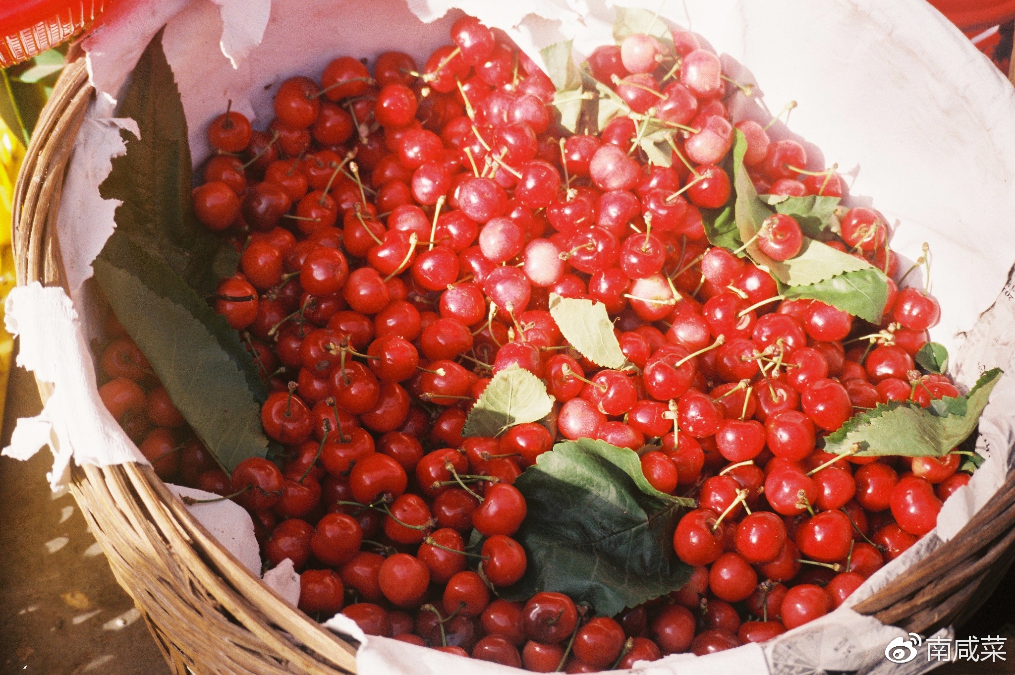 理光r1s胶片相机,理光yf-11s胶片相机