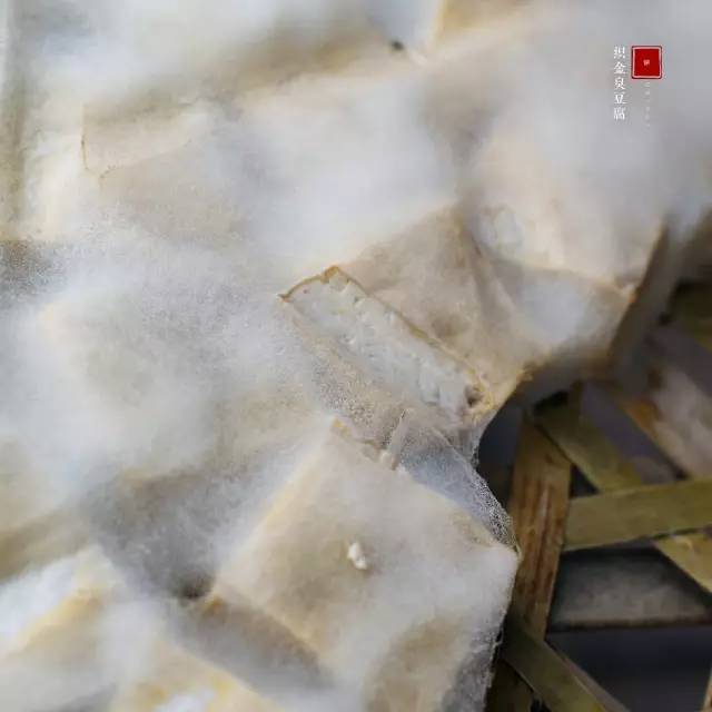 贵州省织金县城,贵州旅游不为人知的景点