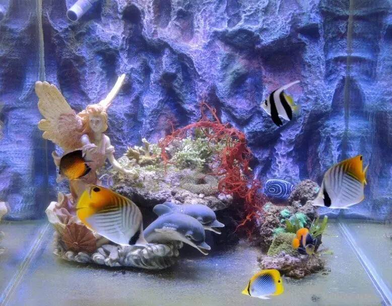 海缸养不活珊瑚的原因,鱼多可以养珊瑚吗