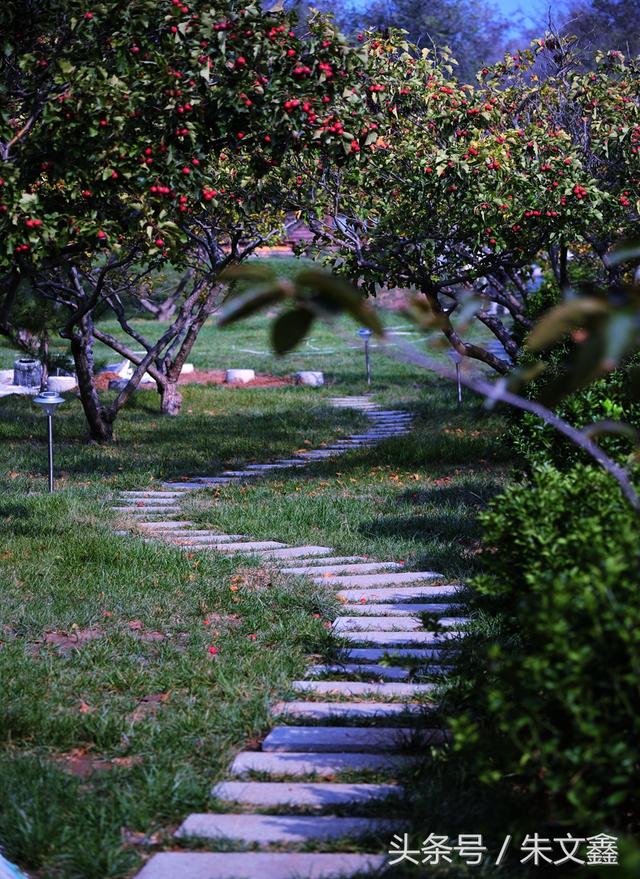 印象牟平怎么样,印象烟台位置