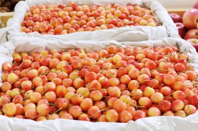 有好贺｜无公害蔬果产地直送、进口食品极速送货，沈阳购电商直营店开业啦！