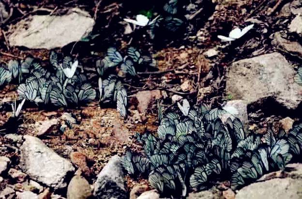 西安最有名旅游景点排名,西安十大值得去的景点排名