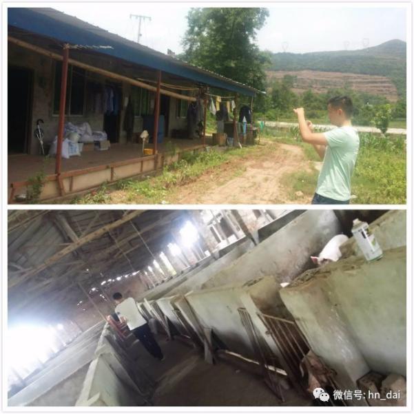 惠农最近新闻,惠农生活是干啥的