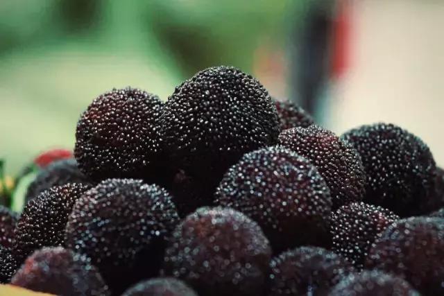 杨梅有小白虫把它用盐水泡出来,不小心吃了杨梅里的小白虫怎么办