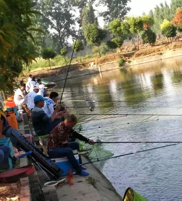 河南最近有哪些钓鱼比赛,南阳钓鱼竞技比赛