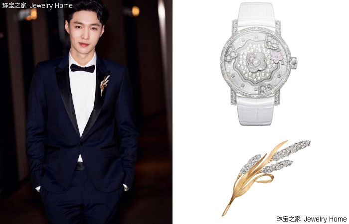 男友改造计划,男友改造计划中文版