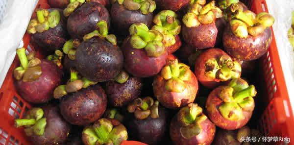 三亚必吃的十大水果排名,海南三亚最爱吃的水果