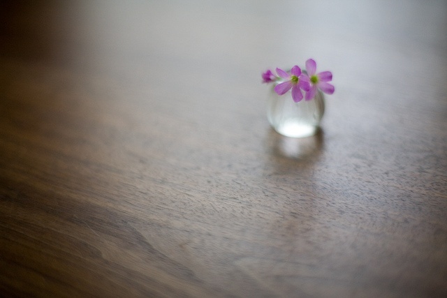 蓝颜红颜都是知己,所谓的蓝颜红颜知己