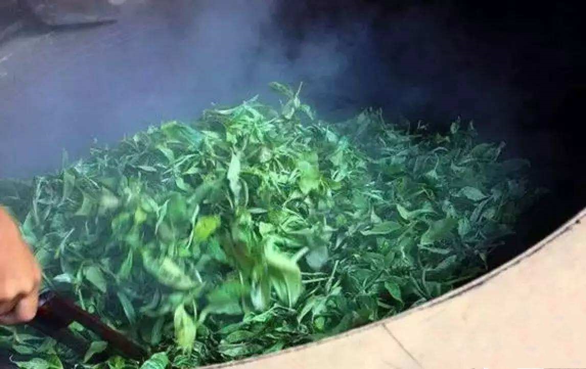 什么是茶叶的杀青揉捻,什么是茶叶的杀青