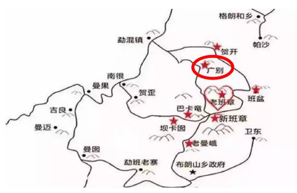 广别老寨古树茶口感描述,老班章和冰岛老寨茶叶区别