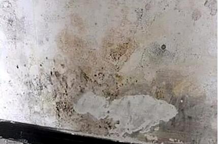 墙壁发霉了怎么处理,墙壁发霉了用什么方法处理好