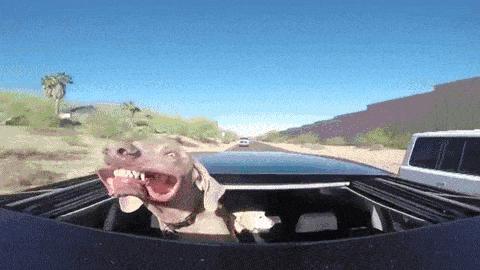 不会告诉的秘密,修车20年都不会告诉你的秘密